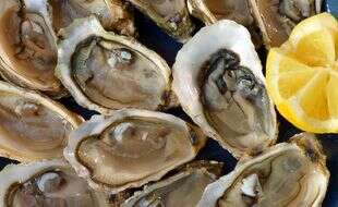 Contaminées, des huîtres interdites à la vente en Loire-Atlantique