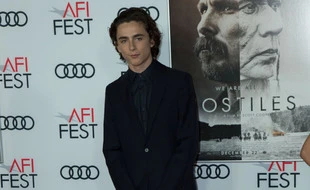 Timothée Chalamet a été recruté par Warner Bros. pour jouer Willy Wonka