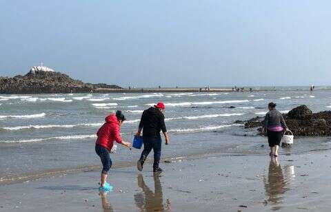 Pourquoi cette plage bretonne est prise d’assaut par des pêcheurs chinois ?