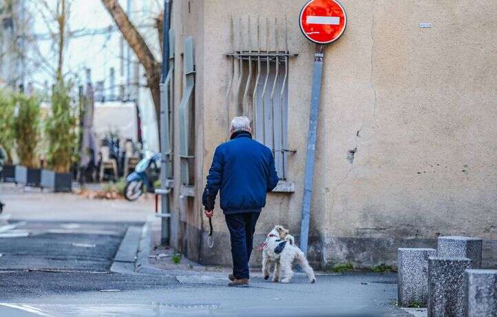 La mairie de Mâcon se montre ferme avec les propriétaires de chiens