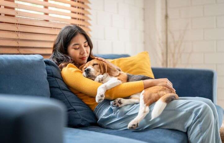 Une étude démontre à quel point les chiens sont sensibles à notre stress