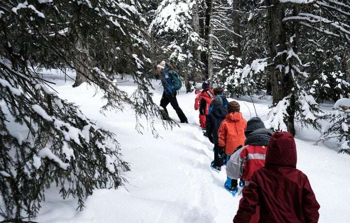 Et si les parents échangeaient leurs ados pour baisser le coût des voyages ?