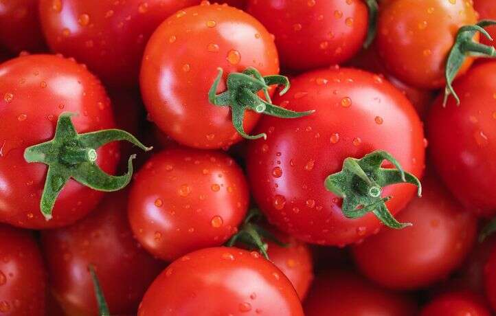 Les Ouïghours derrière des sauces tomates dites italiennes ?