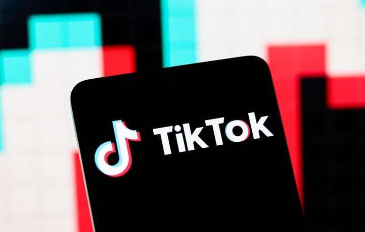 Onze familles françaises attaquent TikTok pour « risques d’addiction »