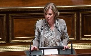 Le Sénat conforte la garde alternée des enfants, sans en faire un principe