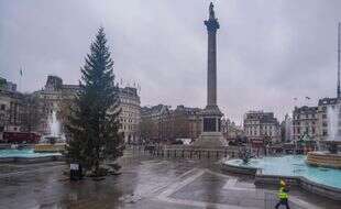 Le sapin envoyé à Londres par Oslo est-il vraiment trop moche ?