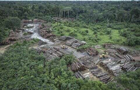 Deux bûcherons tués au Pérou, sur le territoire d’Indiens d’Amazonie