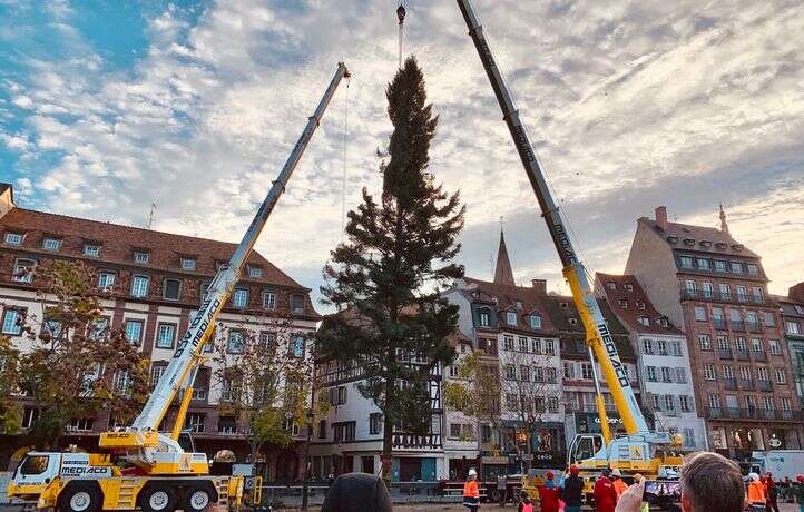 On connaît le thème de la décoration du grand sapin de Strasbourg