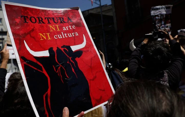 Mexico veut des corridas sans cruauté animale, les organisateurs refusent