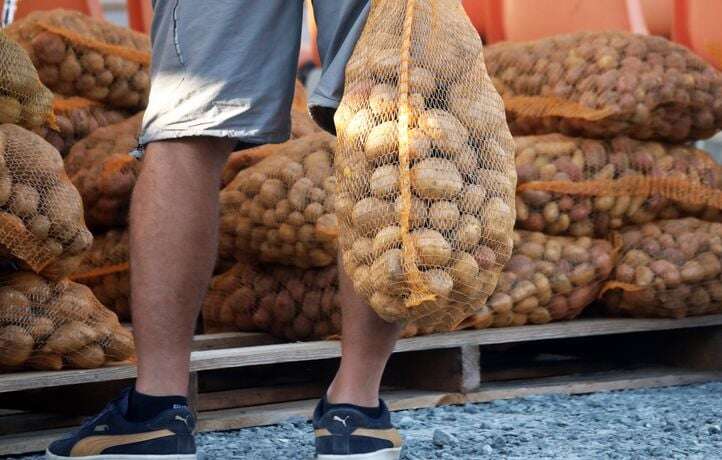 Plus de 1.000 euros le panier… Les arnaques aux légumes se multiplient