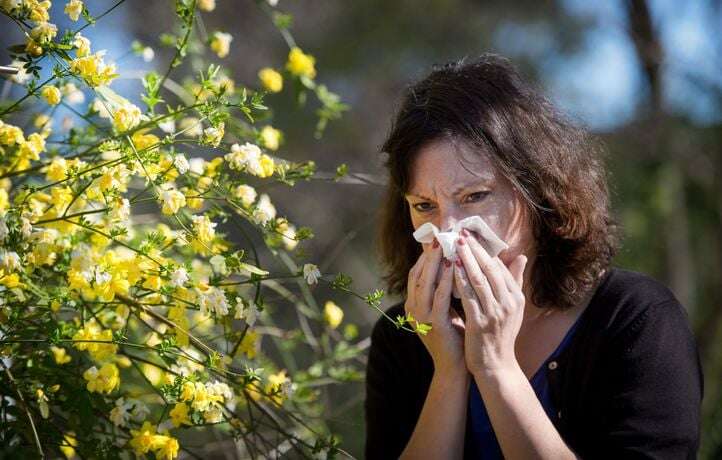 Pourquoi la carte des alertes d’allergies aux pollens risque de disparaître