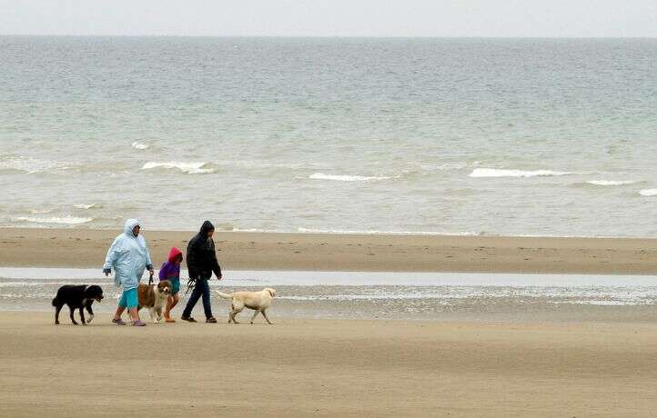 Une ville interdit la baignade parce qu’il y a trop de caca dans l’eau