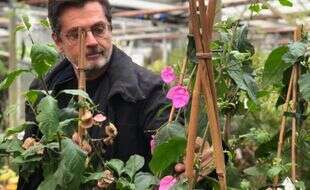 Promesses de Fleurs, le site de jardinerie qui n’arrête pas de pousser