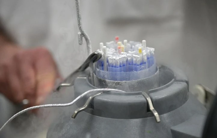 Près de 30.000 paillettes de spermatozoïdes inutilisables