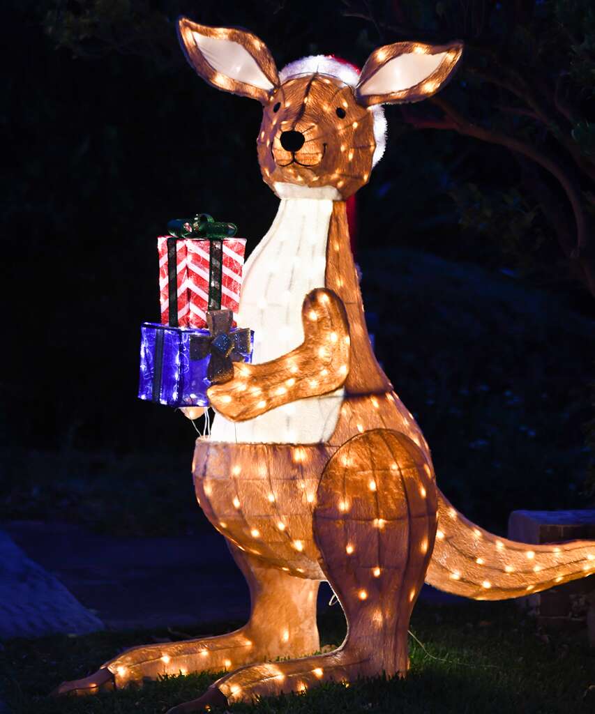 15 Of The Best Christmas Lights Displays To See In Sydney This Year