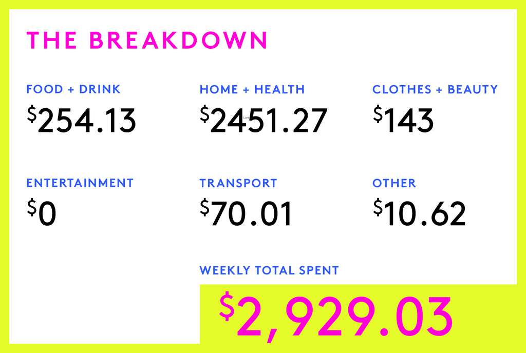 A Week In Detroit Suburbs On A $350,000 Joint Income