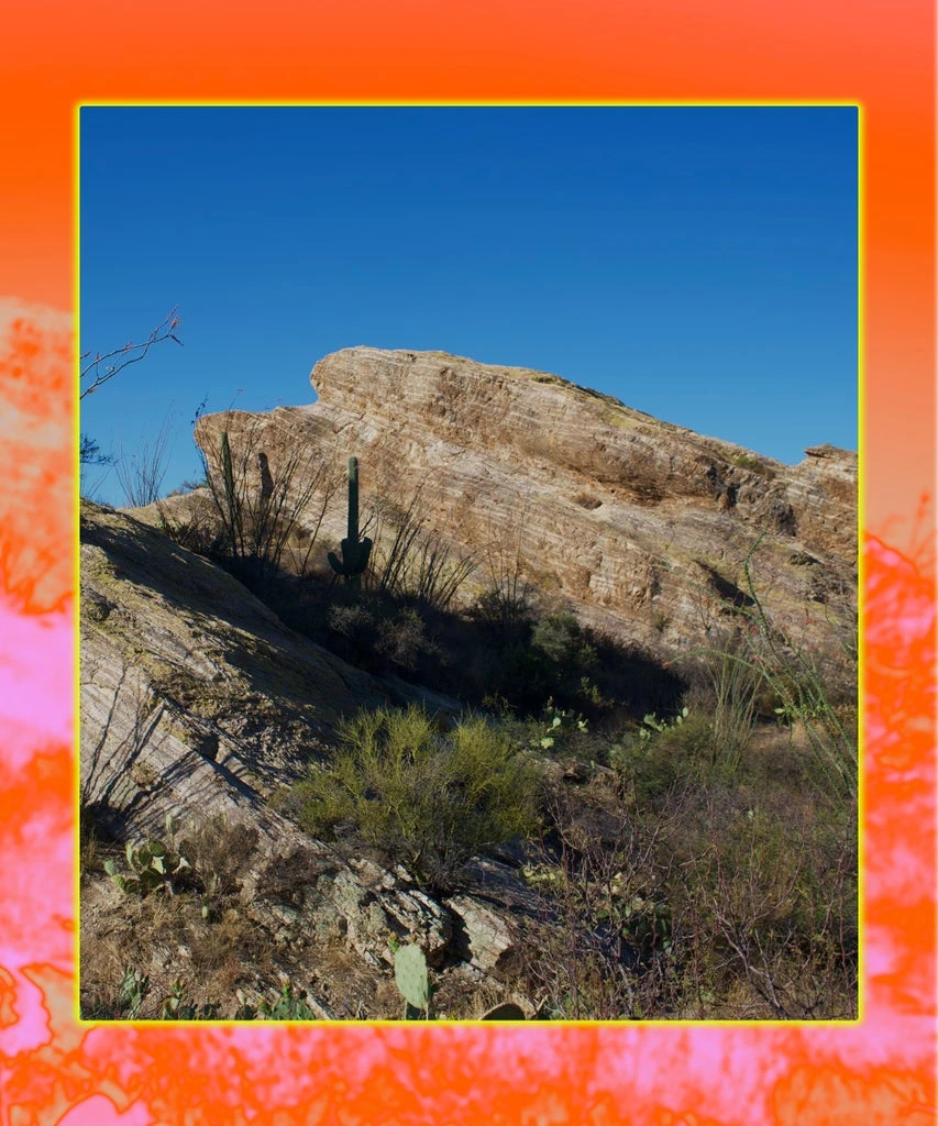 How Tucson Helped Me Connect With My Mexican American Identity