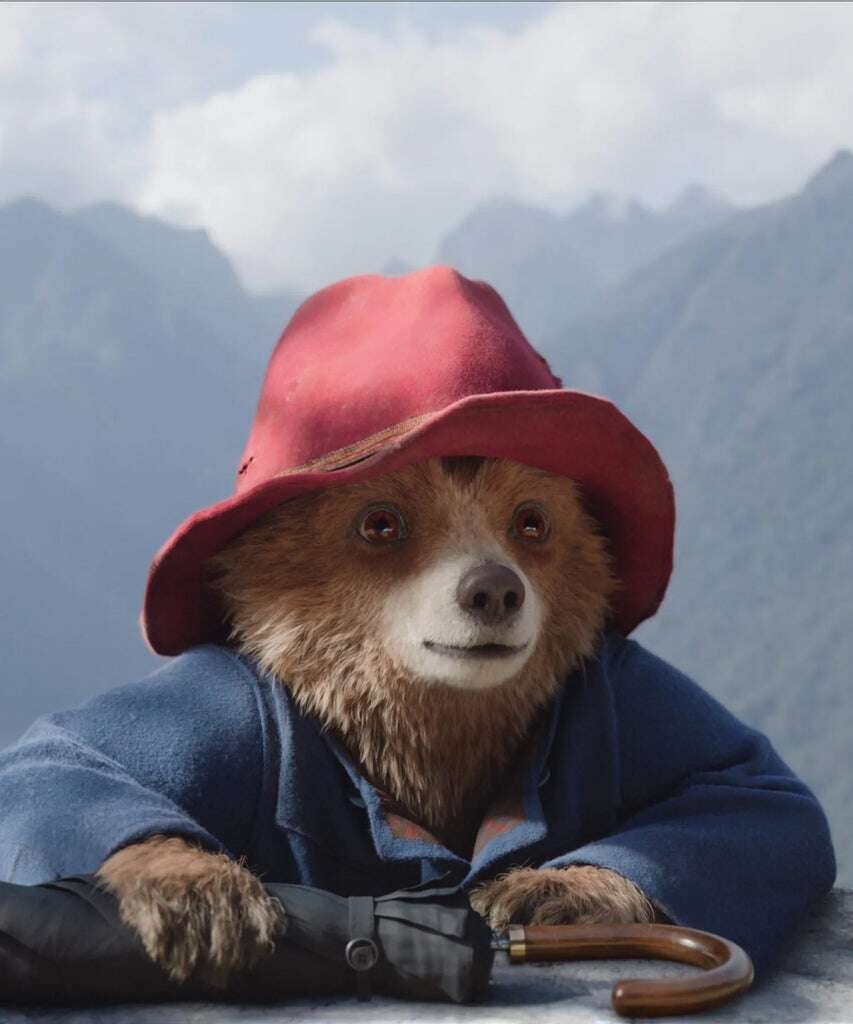 How Paddington Became an Unexpected Latine Icon