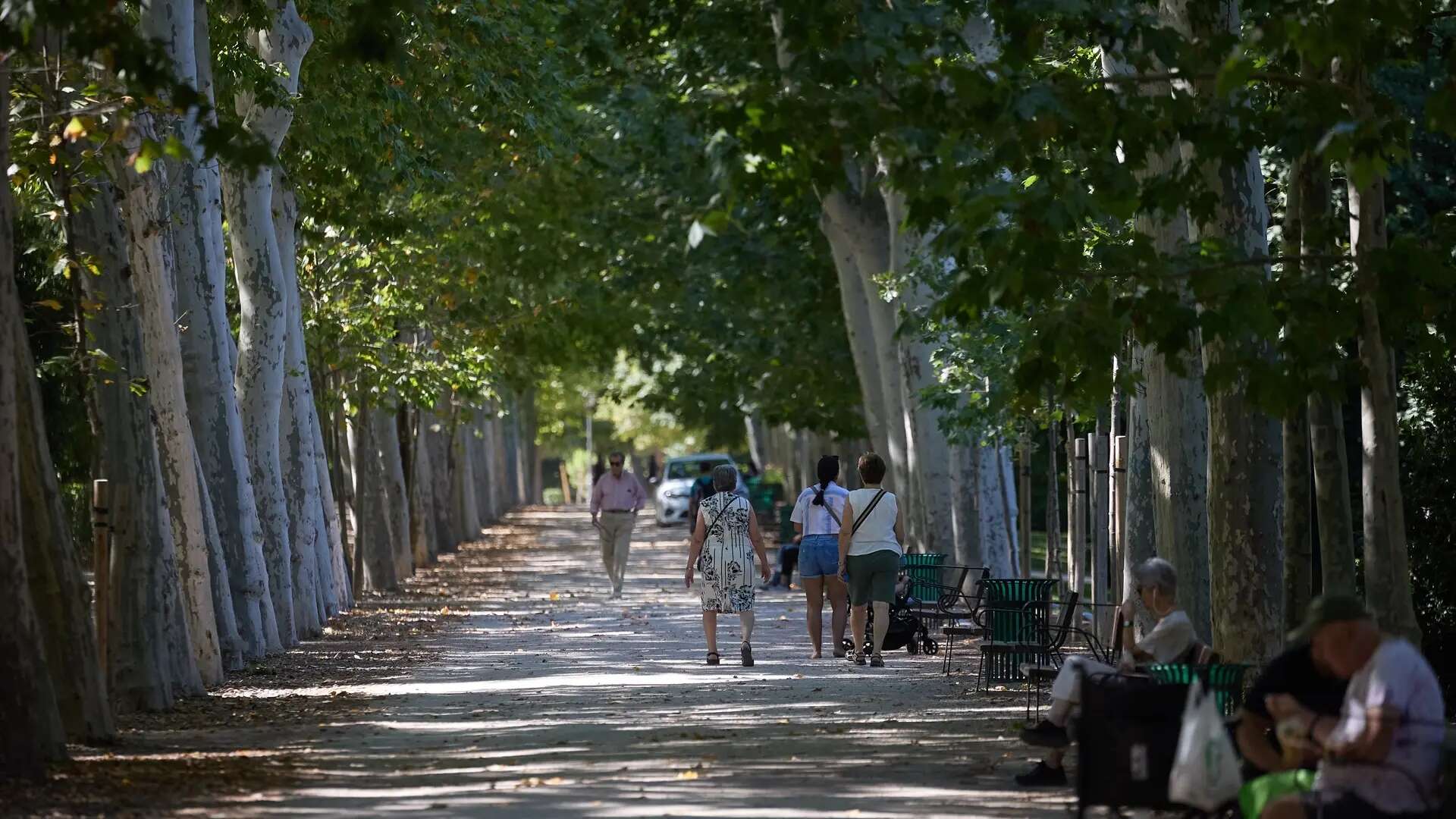 El Retiro y otros ocho parques de Madrid cierran este lunes de 12 a 21 horas por fuertes vientos