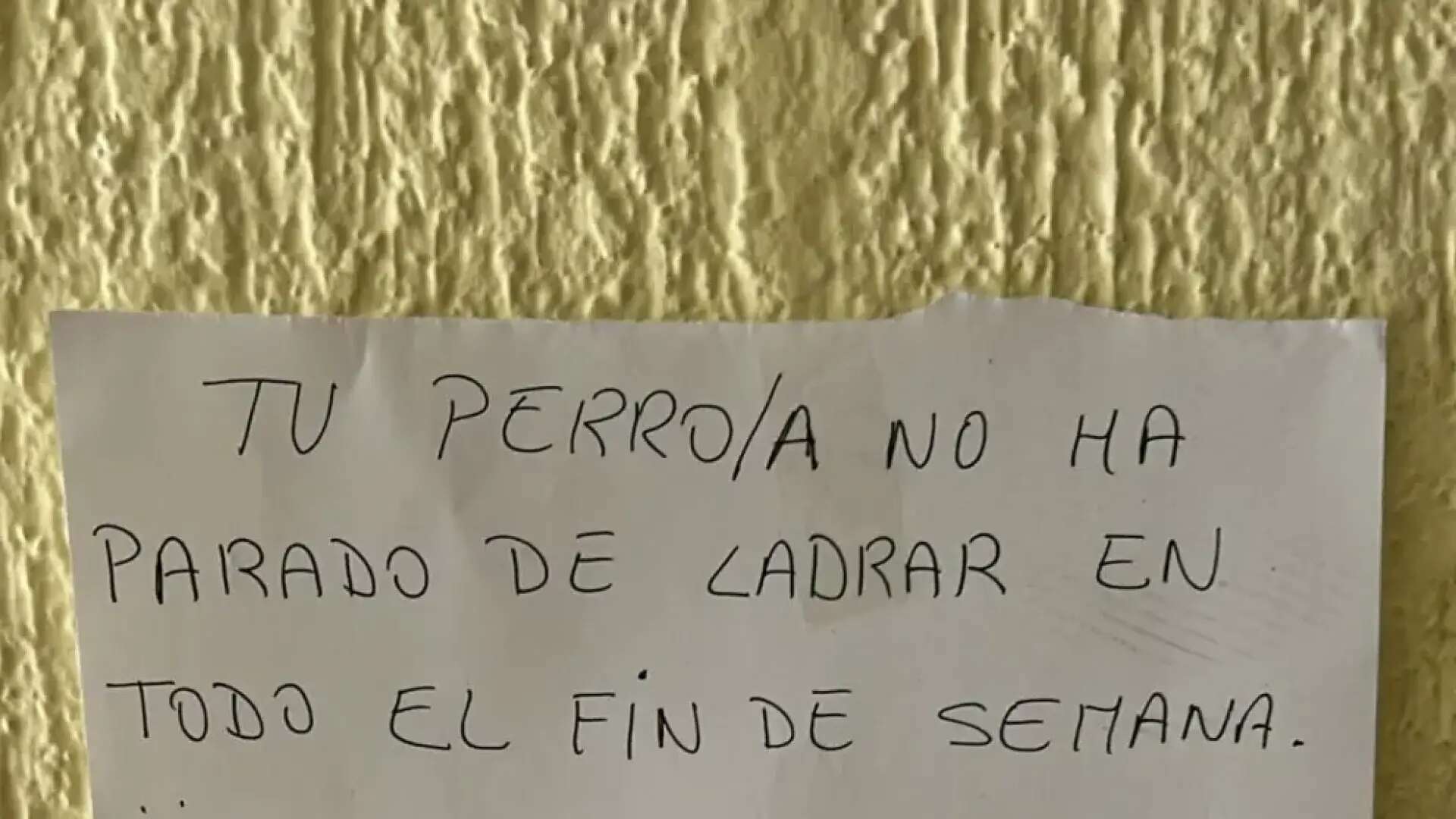 Se queja de los ladridos del perro de su vecino y el dueño le responde: 