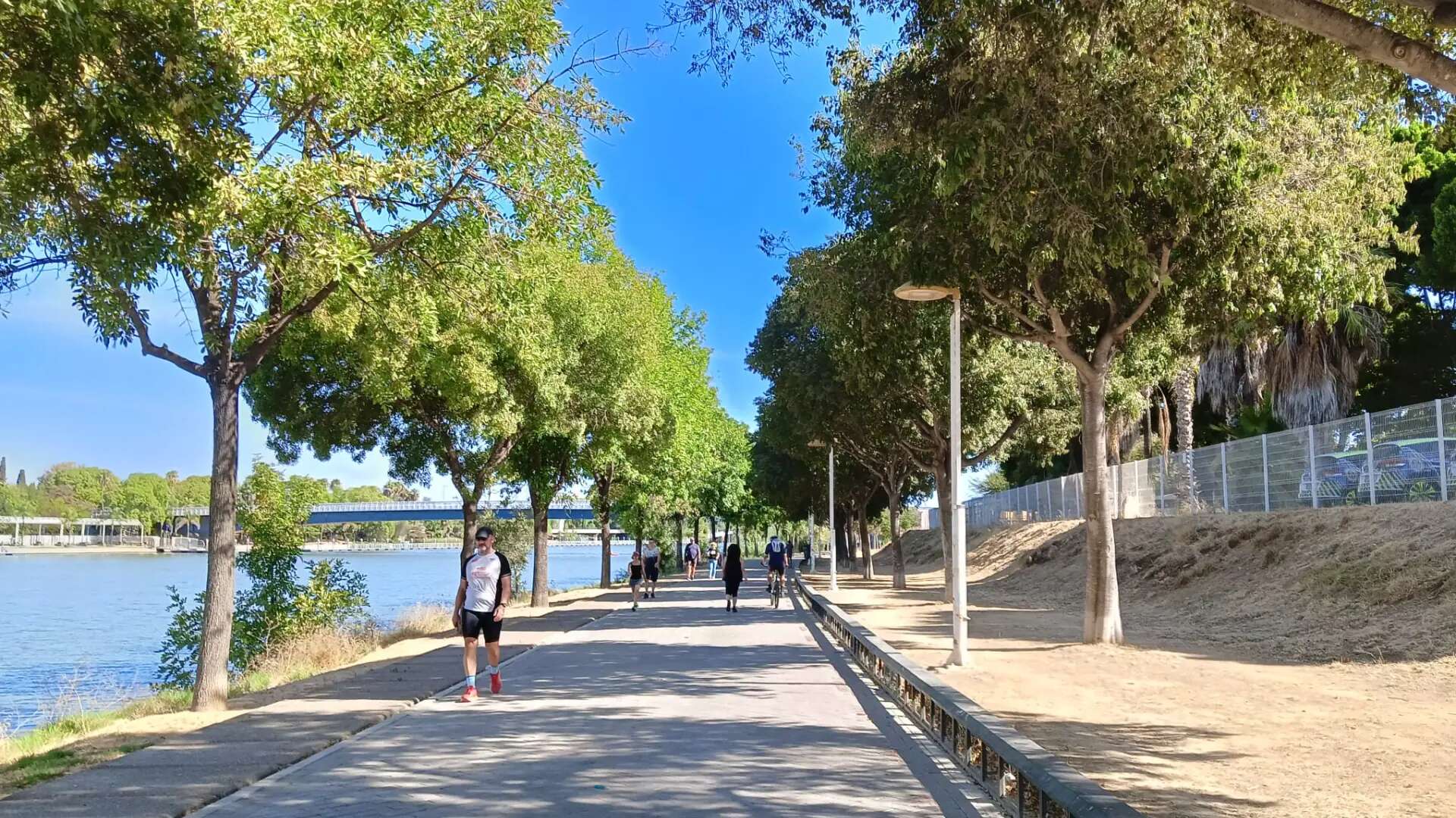 El Ayuntamiento adjudica las obras del Paseo Juan Carlos I, que lucirá una nueva imagen en primavera