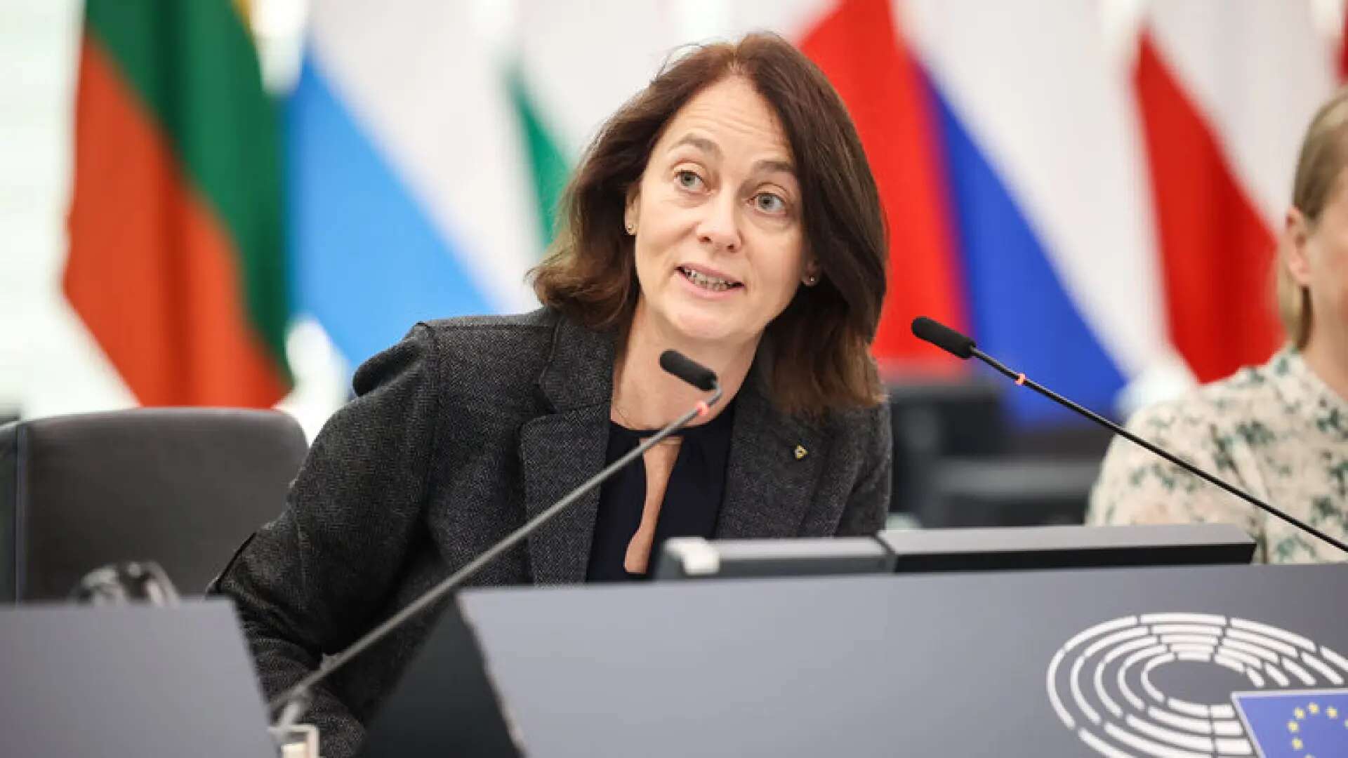 Katarina Barley (SPD), vicepresidenta del Parlamento Europeo: 