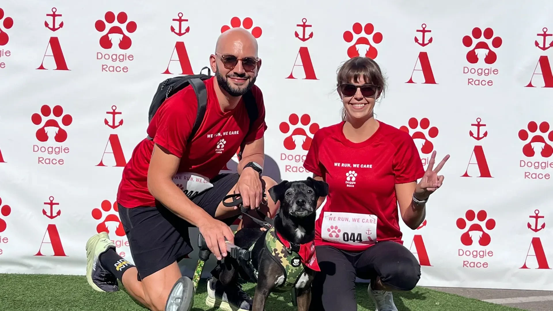 Scooby, el perro sobre ruedas que corre maratones: 