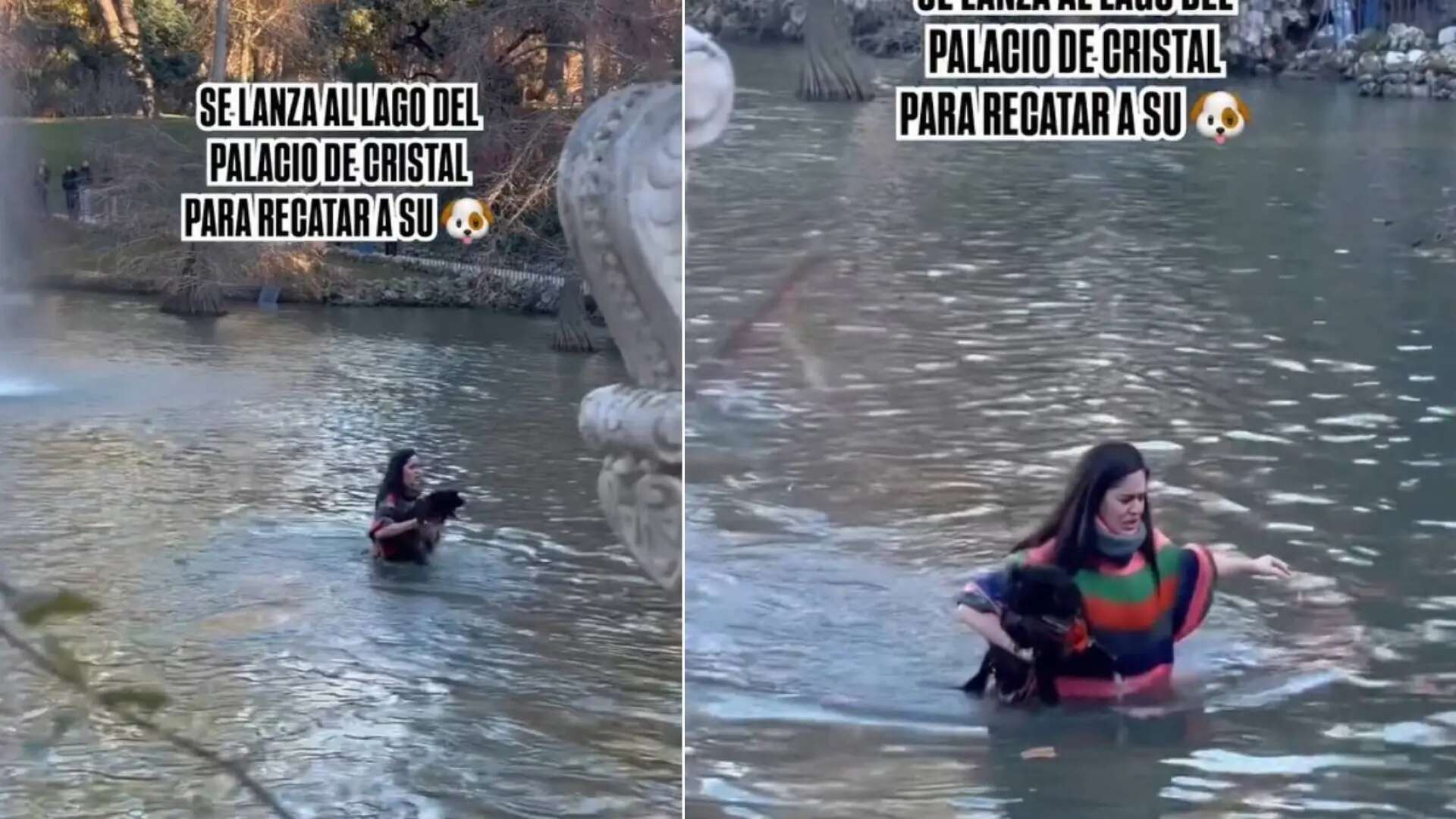 Una joven se lanza a un lago del Retiro para salvar a su perra: 