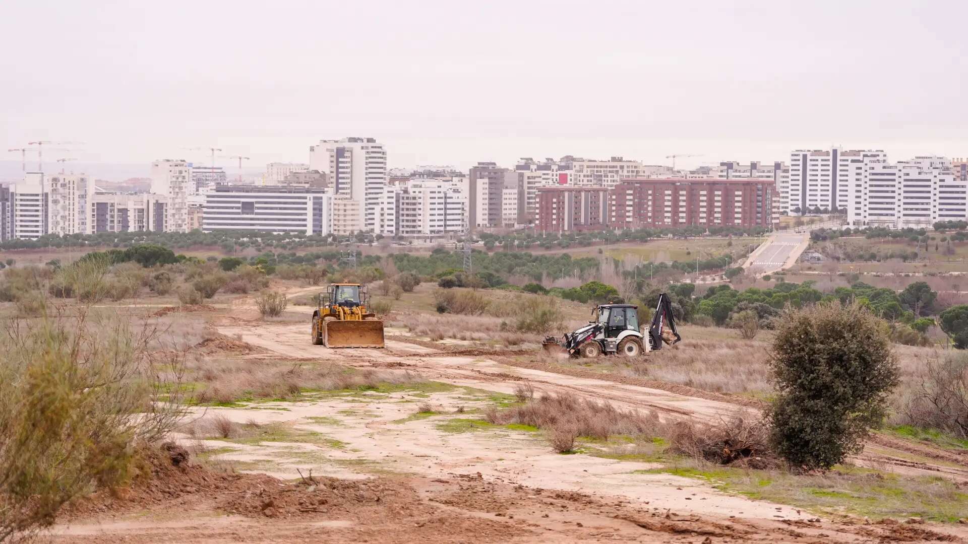 El nuevo desarrollo de Solana inicia sus obras para construir 1.400 viviendas en Valdebebas