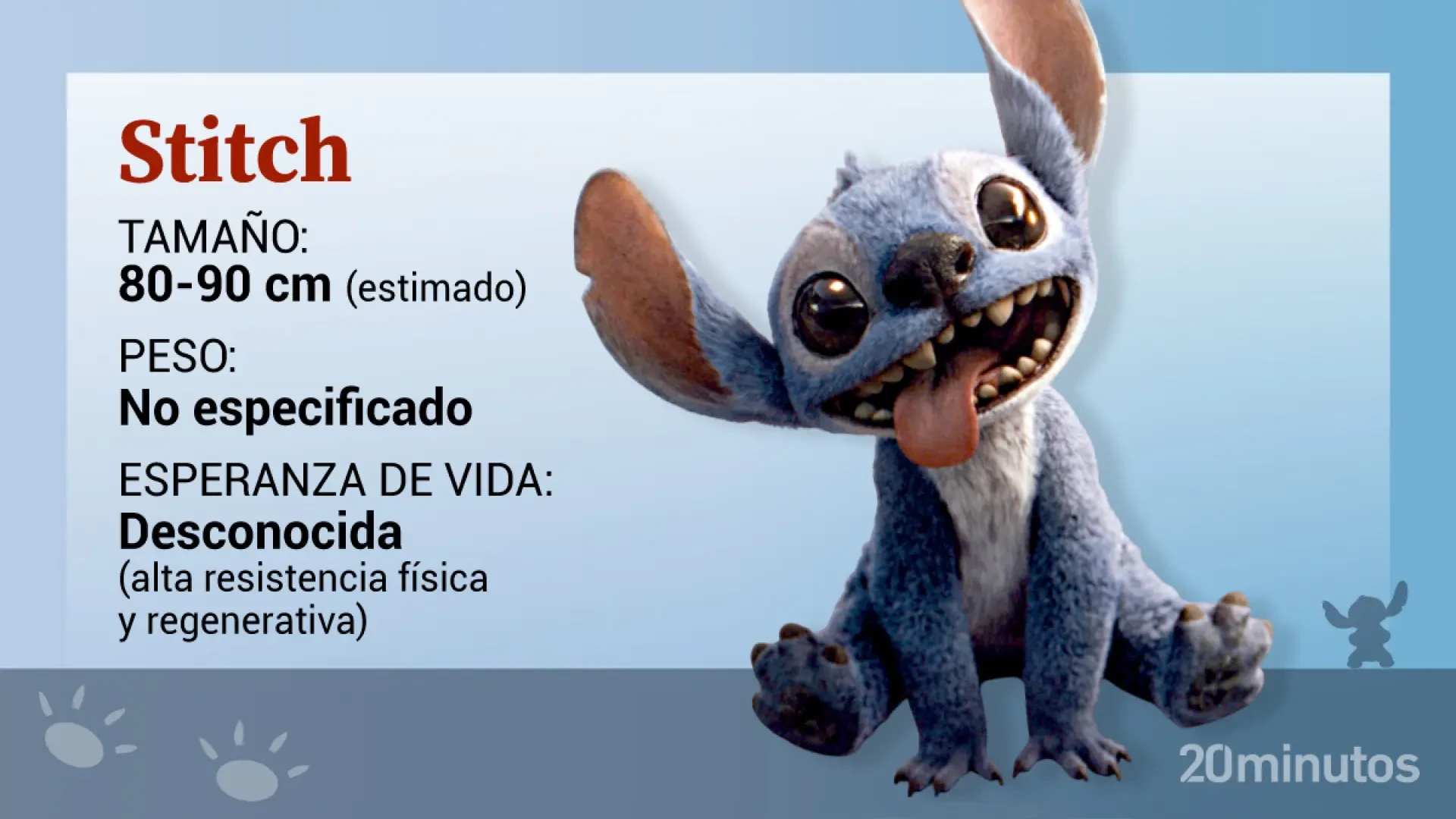 ¿Tu perro se parece a Stitch? Estas son las razas caninas que podrían pasar por el experimento 626 