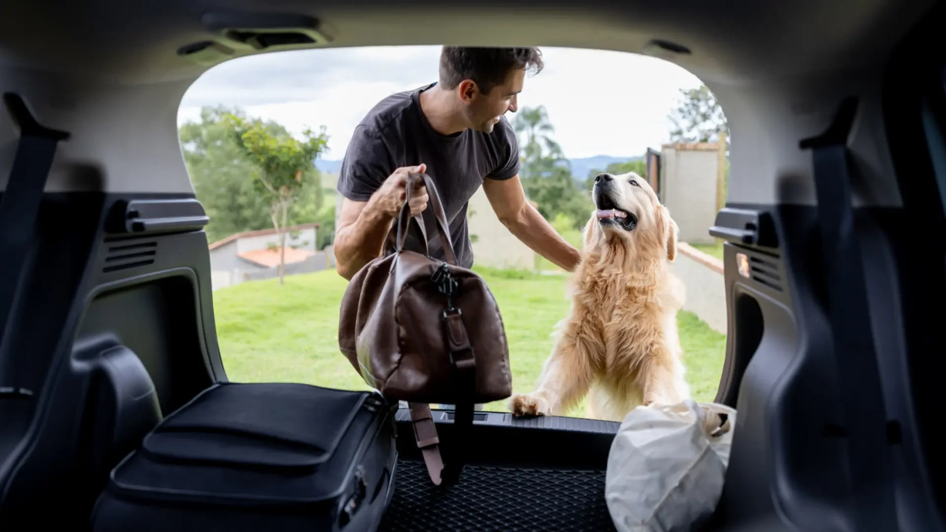 Cómo viajar con animales de compañía sin traer parásitos de recuerdo