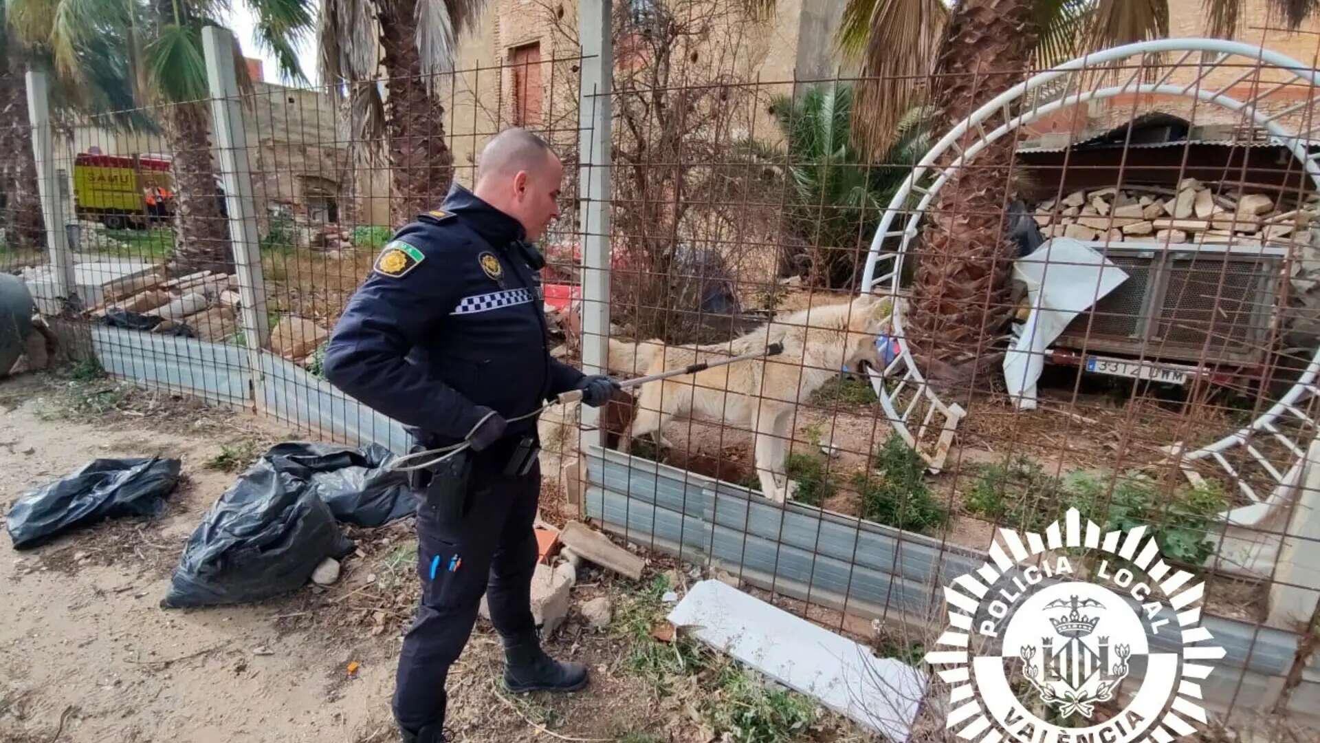 Capturado un perro-lobo en Valencia tras atacar a su dueño y provocarle graves heridas en las piernas