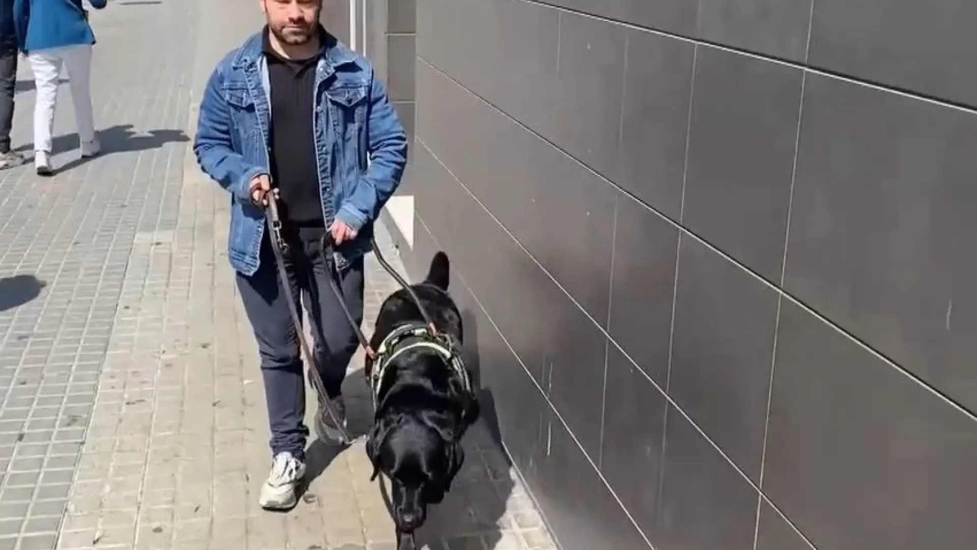Así se comporta el perro guía de Xavier: 