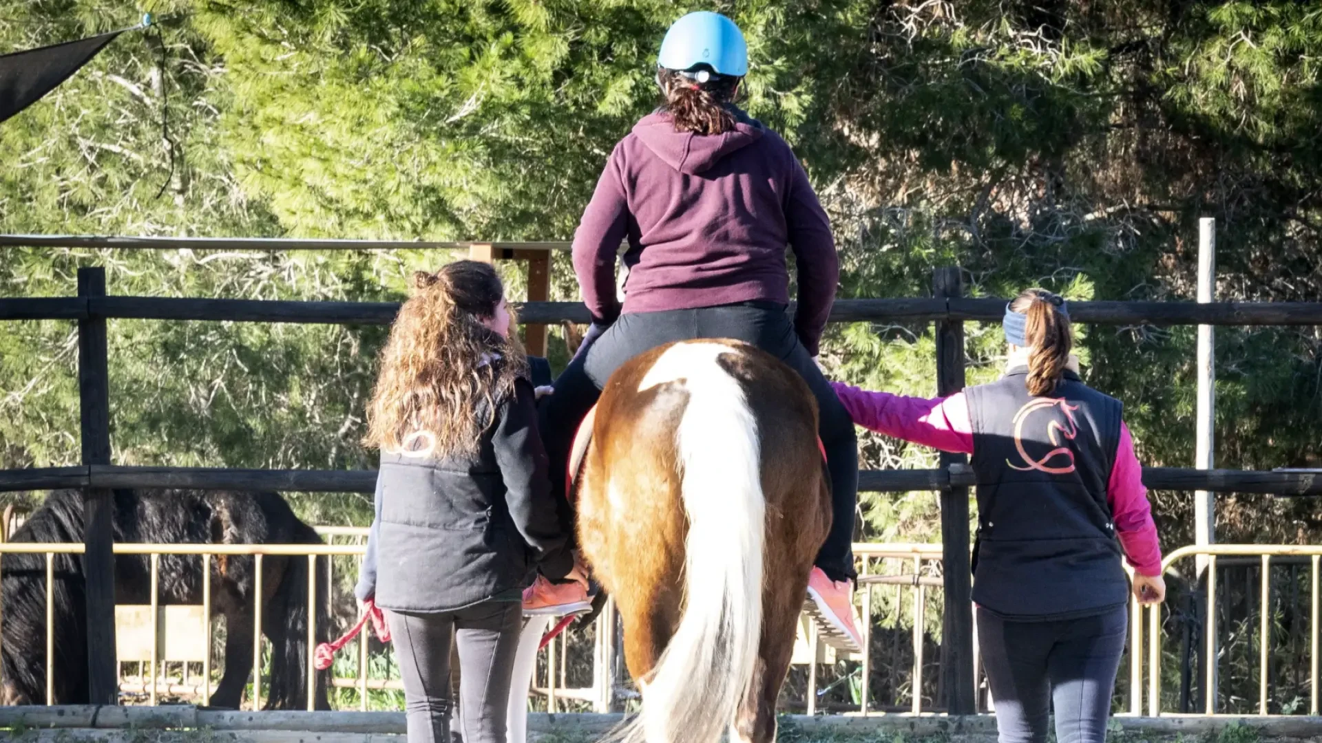 Caballos que salvan vidas: la Fundación Centauro Quirón y su modelo de ayuda 
