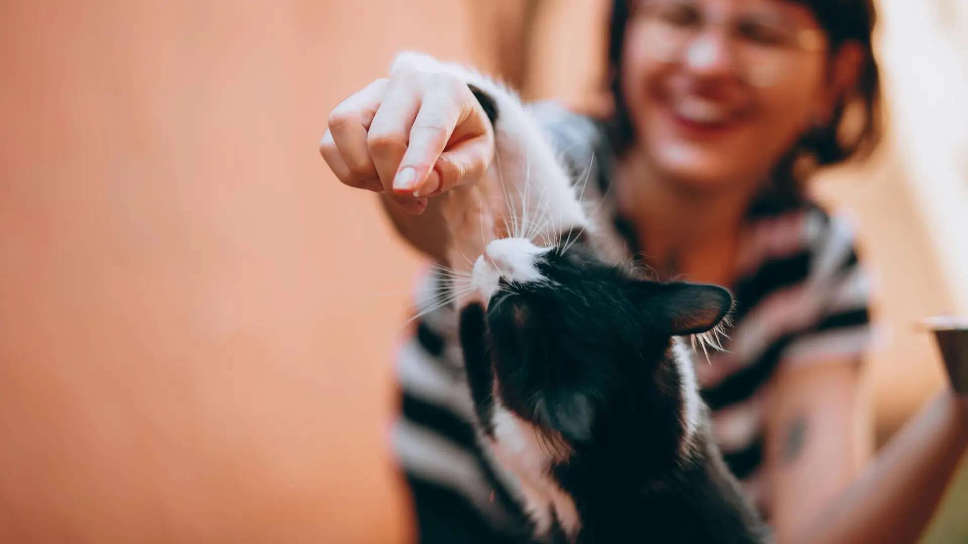 Cómo saludar correctamente a un gato: las claves son respeto y paciencia