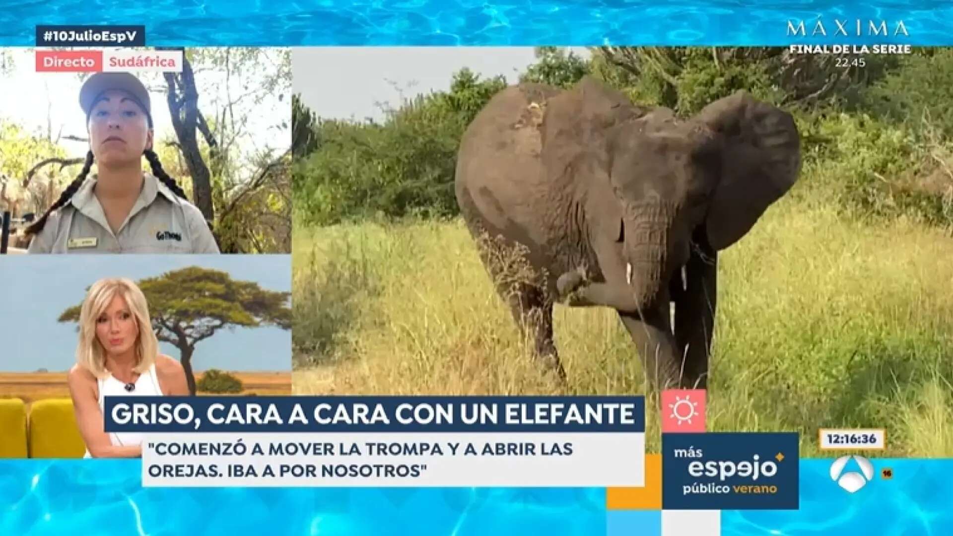 Susanna Griso fue atacada por un elefante: 