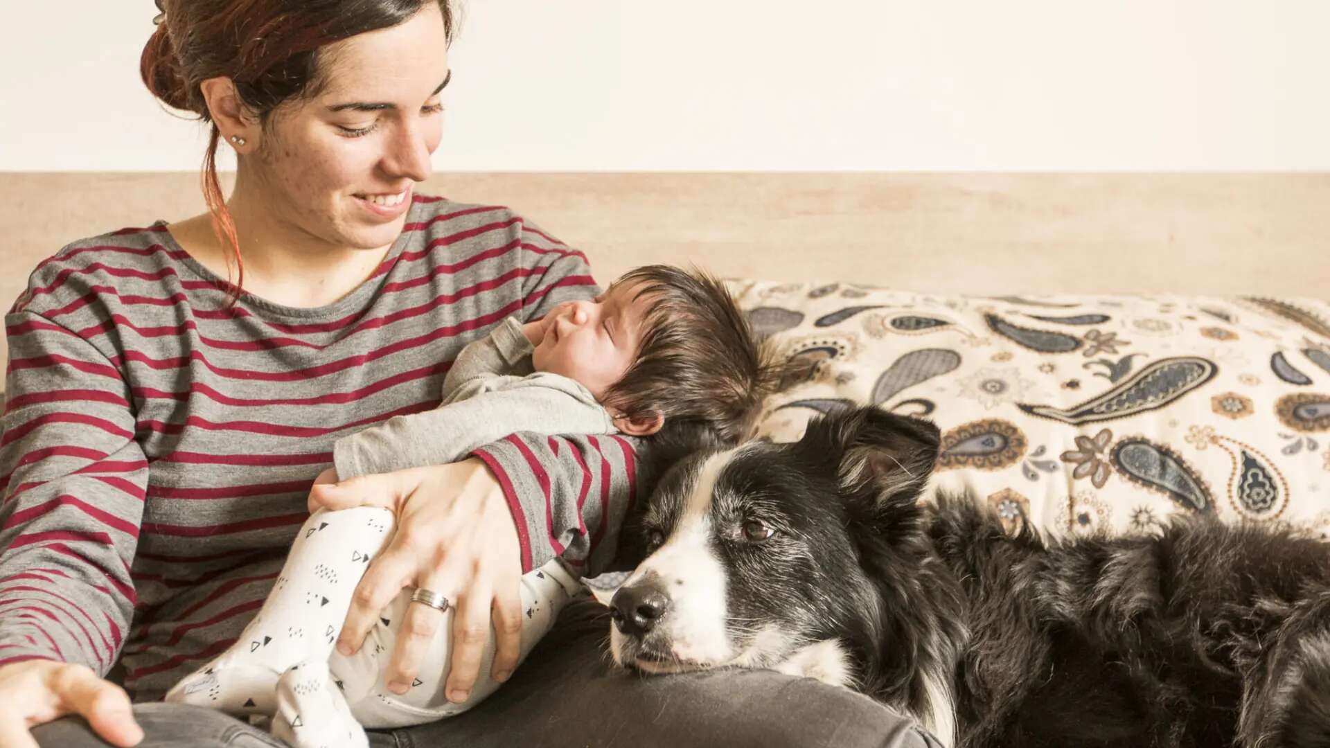 ¿Los perros evitan que tengamos más hijos? 