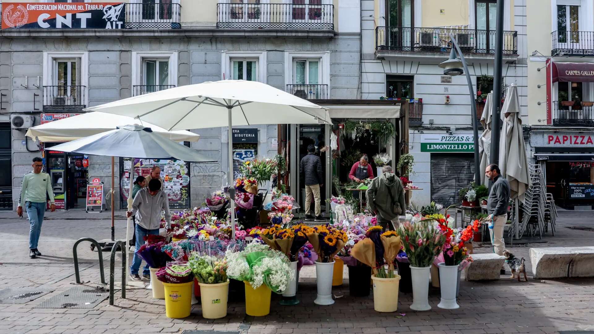 La plaza de Tirso de Molina y su entorno se reformarán por completo para eliminar los focos de inseguridad