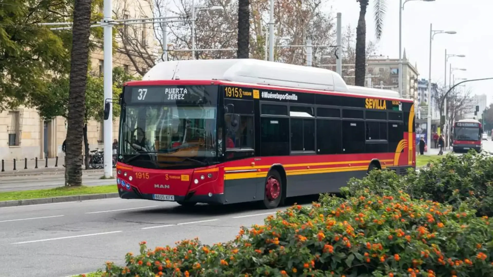Sevilla renovará su flota con 70 autobuses de BYD, Iveco, Solaris, MAN y Daimler
