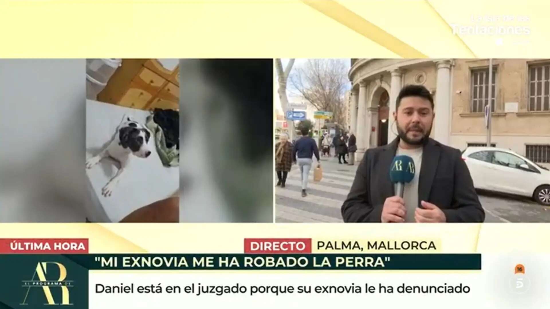 Su expareja le roba su perrita y luego le denuncia por coacción al exponer el caso en los medios de comunicación