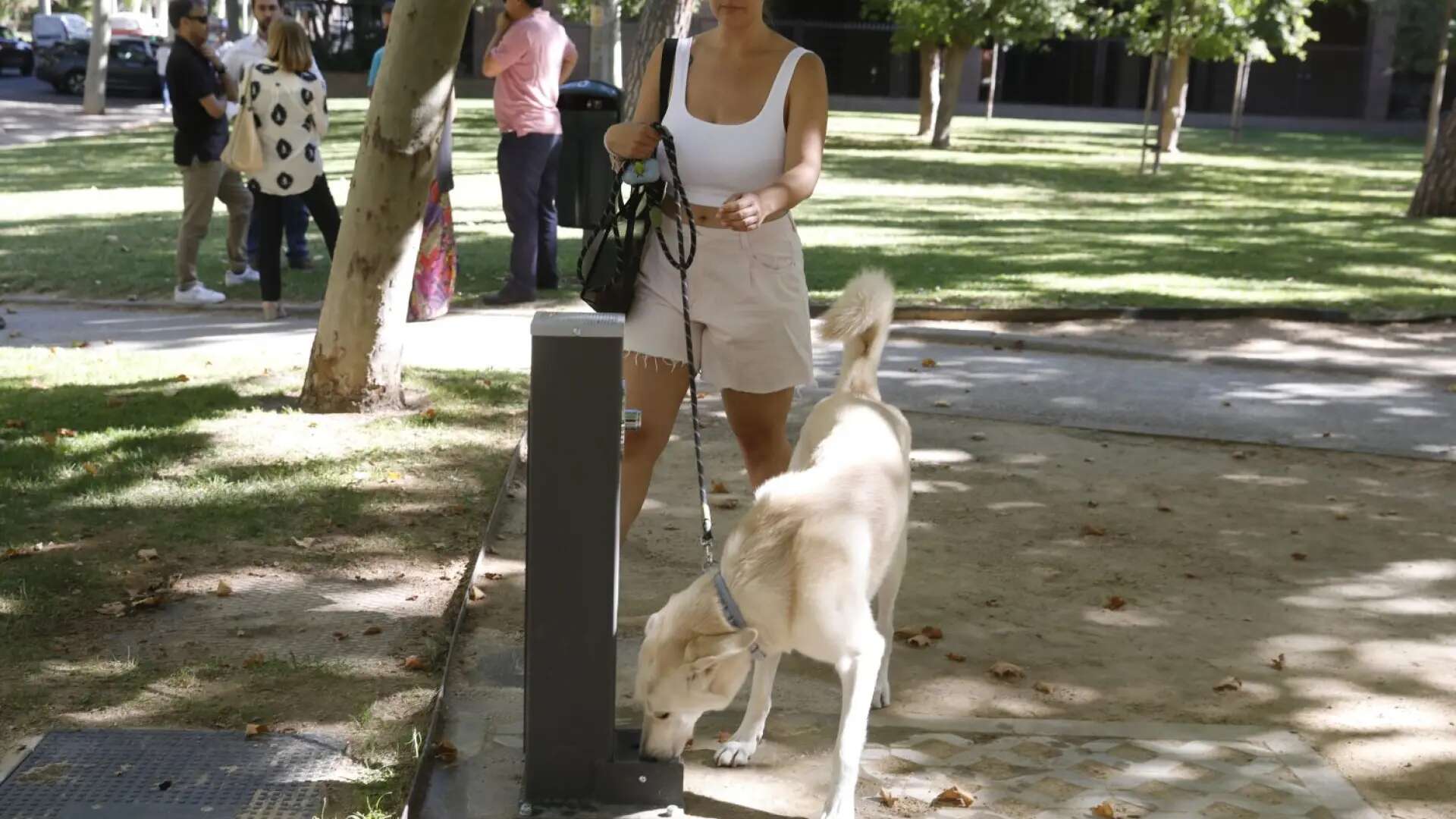 Los madrileños tendrán 60 nuevas fuentes para refrescarse en parques y espacios deportivos