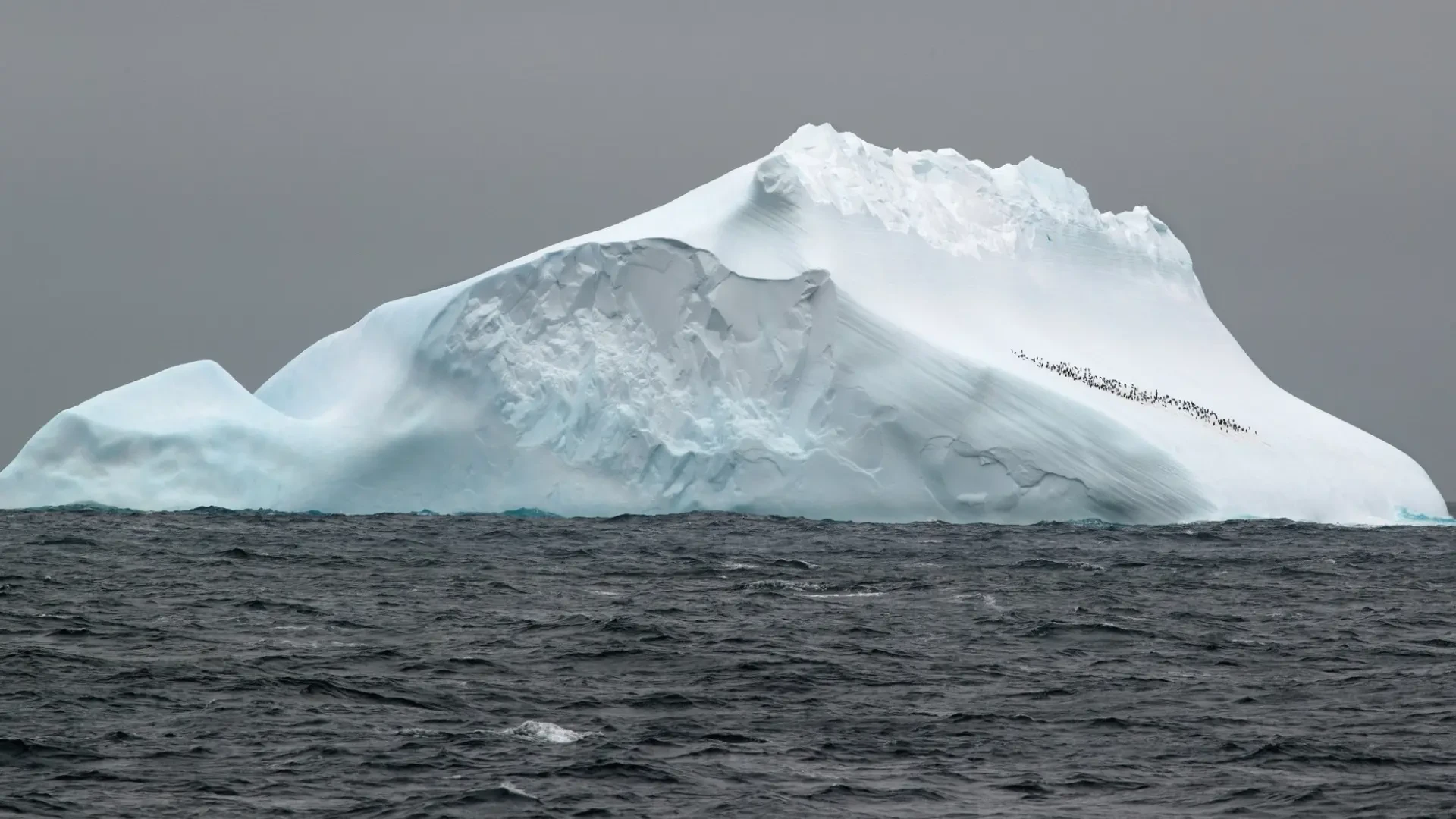 El periplo del iceberg más grande del mundo: su desplazamiento se acelera y se acerca al Atlántico sur