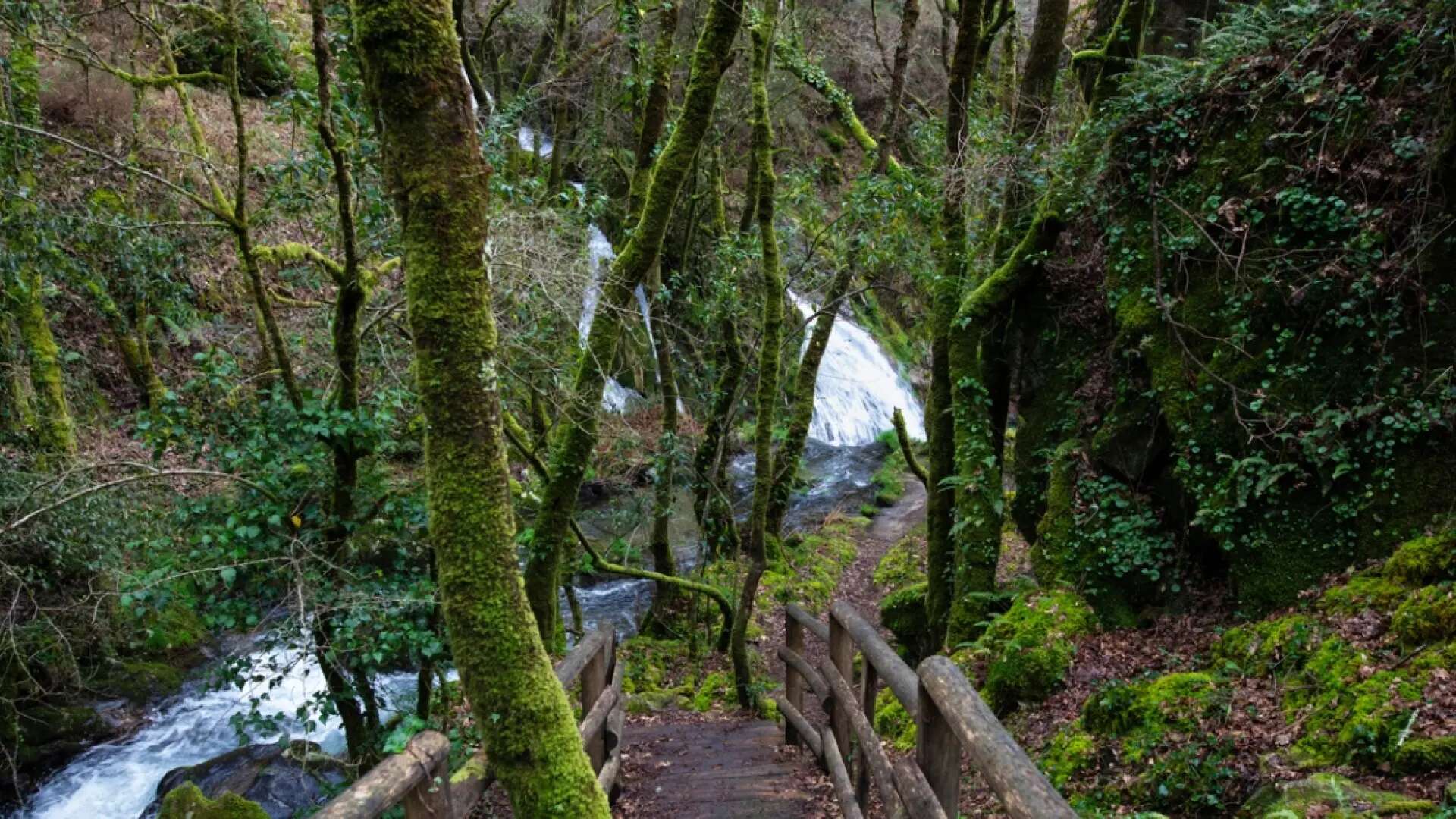 La ruta de senderismo en Galicia por pasarelas de madera entre cascadas, arroyos y bosques