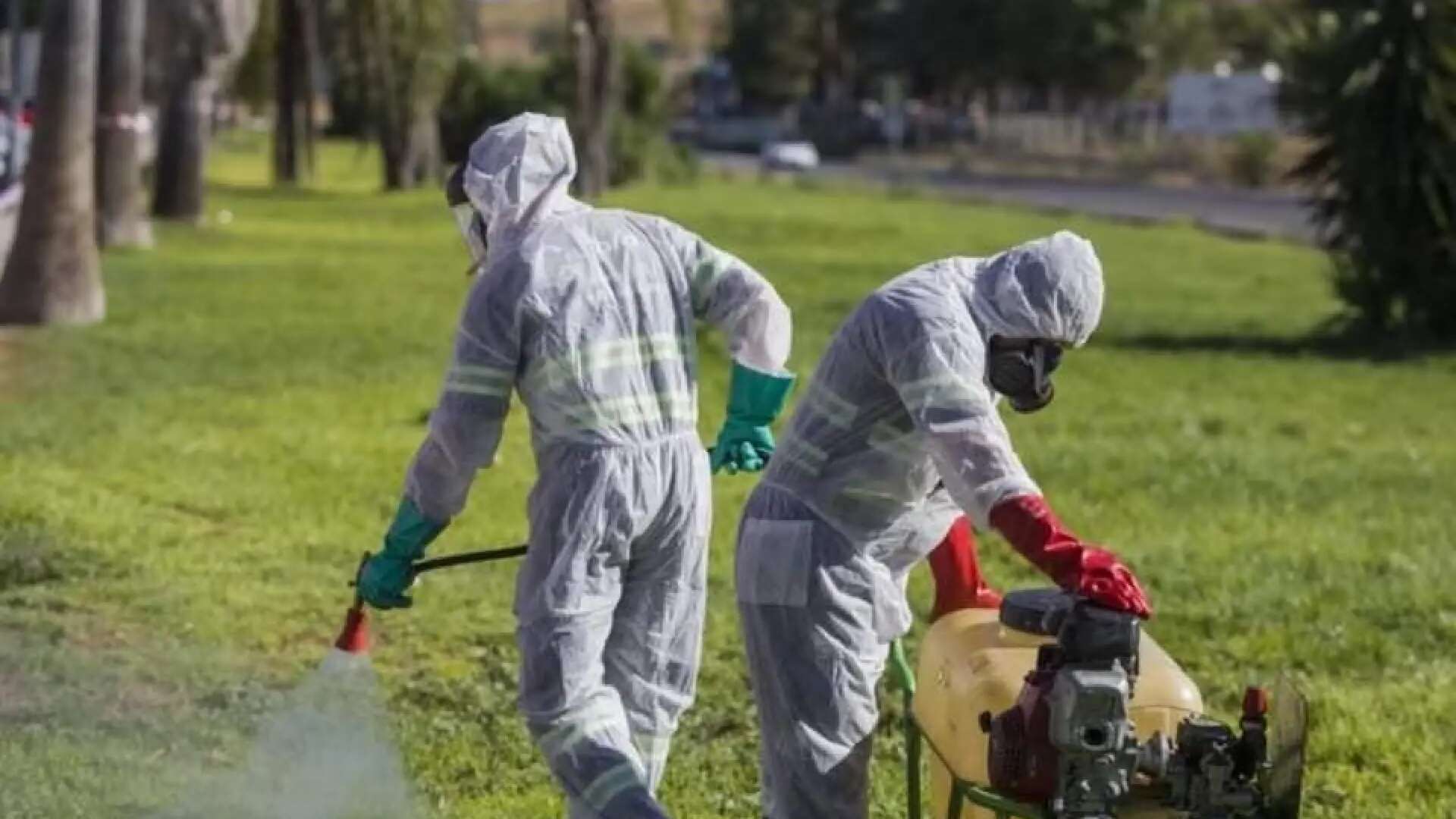 Salud confirma la muerte de otra persona en Sevilla por el virus del Nilo y cifra en ocho los nuevos casos