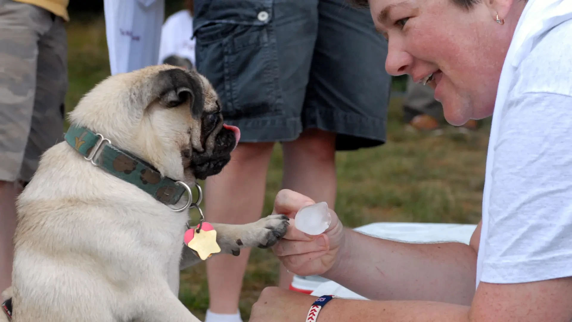 El motivo por el que nunca deberías recurrir al hielo para refrescar a tu perro en plena ola de calor, según un veterinario