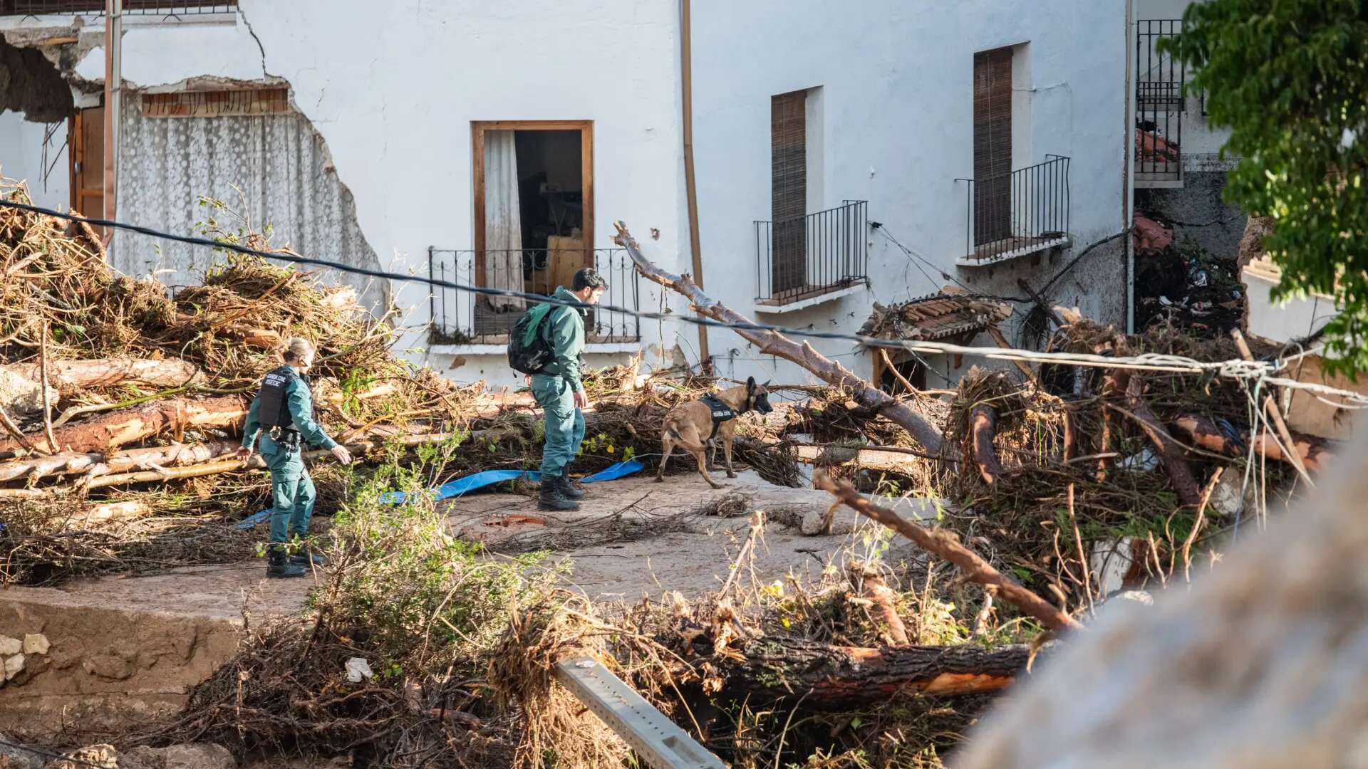 Neutralizan tres artefactos de la Guerra Civil hallados tras movimientos de tierra causados por la DANA