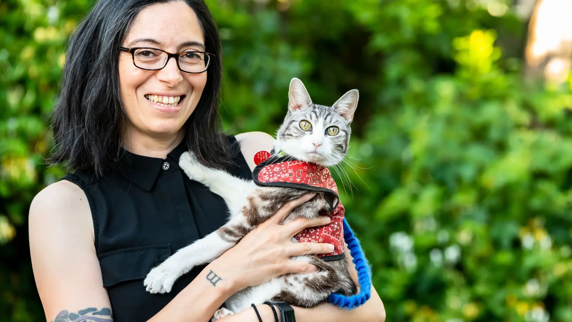Publican en español 'Juega con tu gato', la guía esencial para una vida felina feliz y saludable