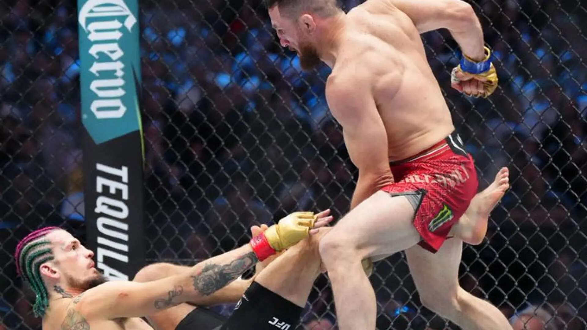 Dvalishvili da una lección a O´Malley en UFC Noche y le arrebata el cinturón