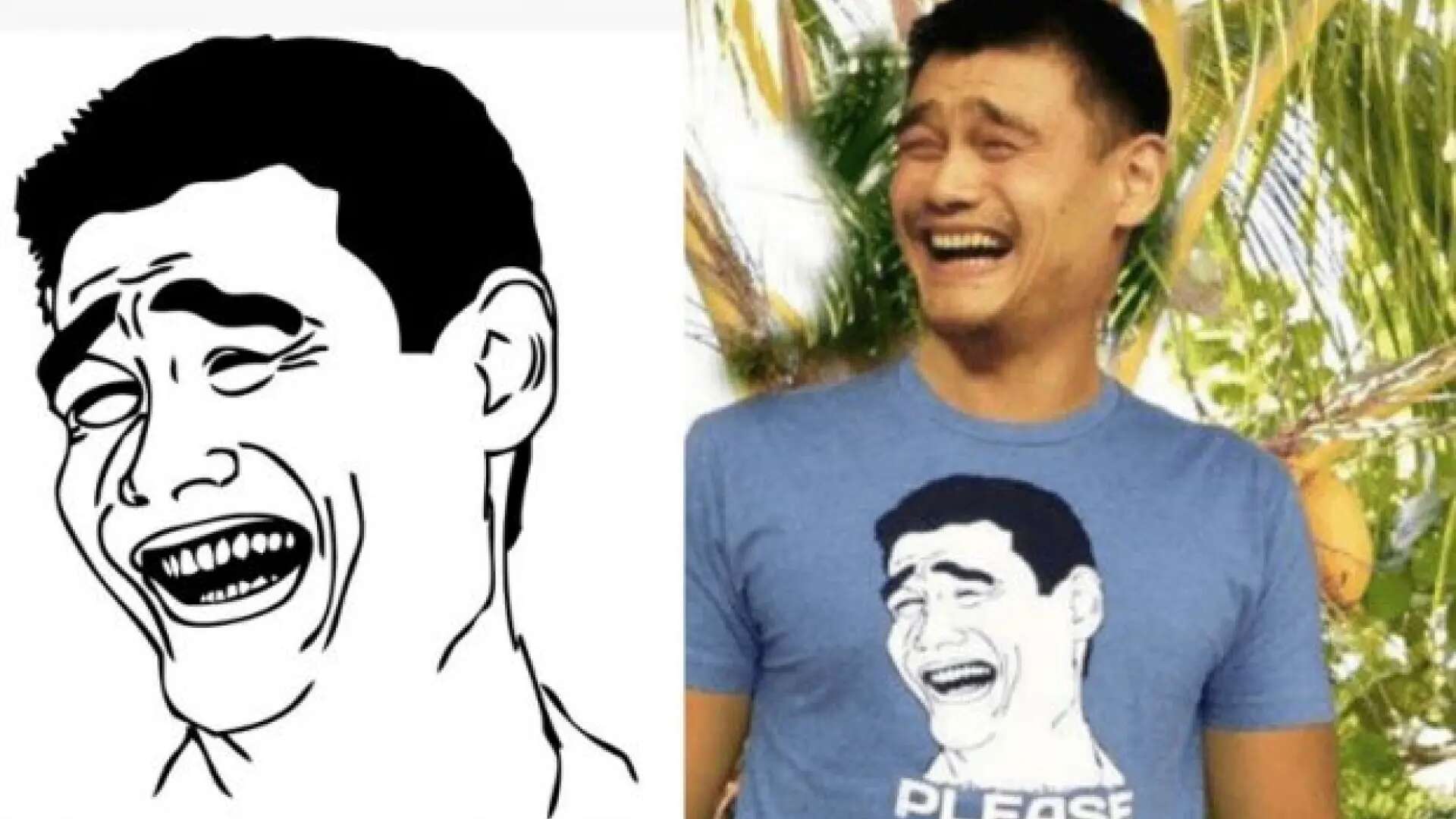 Quince años de 'bitch please': así es Yao Ming, la sonrisa más famosa de internet