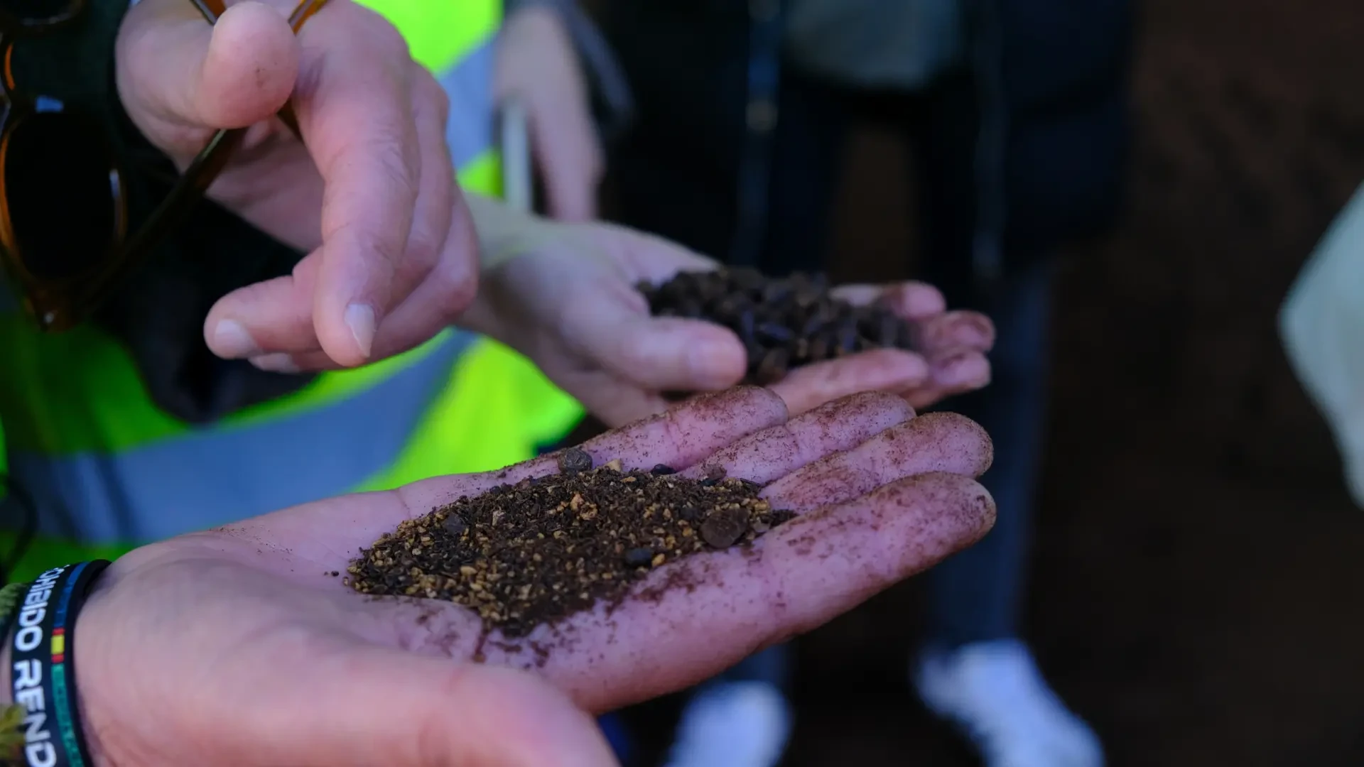 De la aceituna se aprovecha todo: jabones, biodiésel, cosmética, compost, biodiesel, fertilizantes…